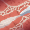 Thumbnail of post image 113