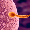 Thumbnail of post image 021