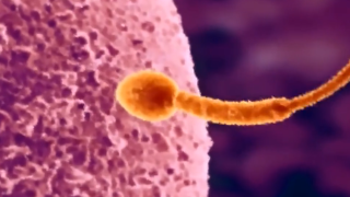 Thumbnail of post image 038