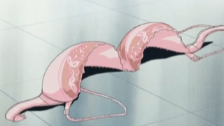 Thumbnail of post image 021